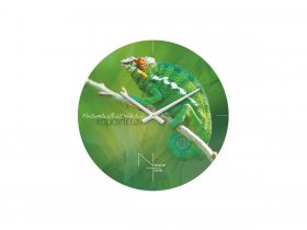 Часы настенные Nicole Time NT503 в Верхоянске - verhoyansk.mebel-nsk.ru | фото